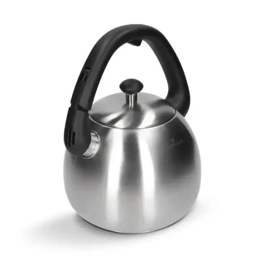 WYPRZEDAŻ! ZWIEGER VISIONARY Czajnik 3 l / srebrny / stal nierdzewna / LEKKIE RYSY I WGNIECENIA