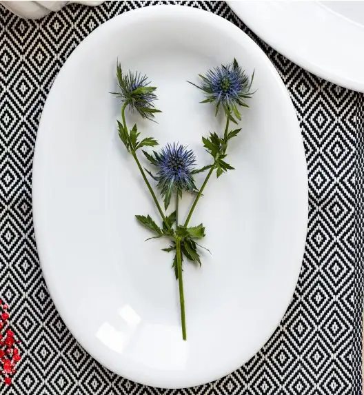 LUBIANA CORONA Serwis obiadowo - kawowy 98 el dla 12 osób | biała porcelana 