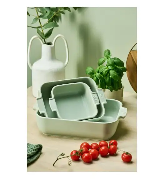 PEUGEOT | APPOLIA Naczynie do zapiekania, 30x22x7,5 cm, jasnozielone