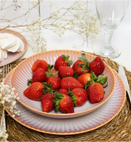 LUBIANA STONEWARE CERAMIKA BLUSH | Serwis obiadowy 24 elementy dla 8 osób | kolor łososiowy