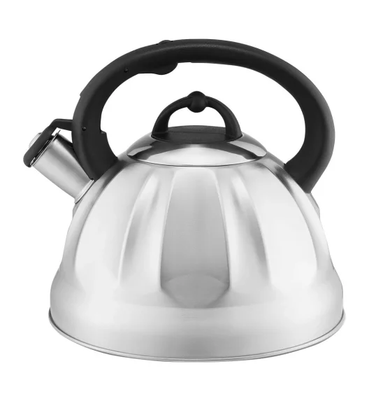 AMBITION WING CZAJNIK Z GWIZDKIEM 2,5 L SREBRNY