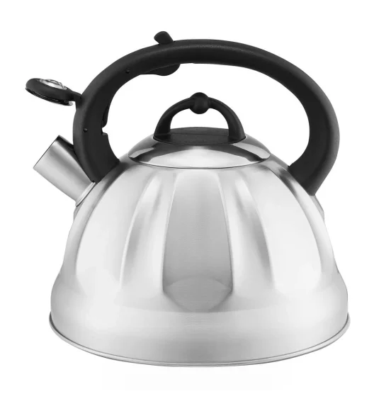 AMBITION WING CZAJNIK Z GWIZDKIEM 2,5 L SREBRNY