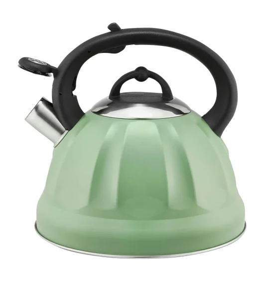 AMBITION WING CZAJNIK Z GWIZDKIEM 2,5 L ZIELONY