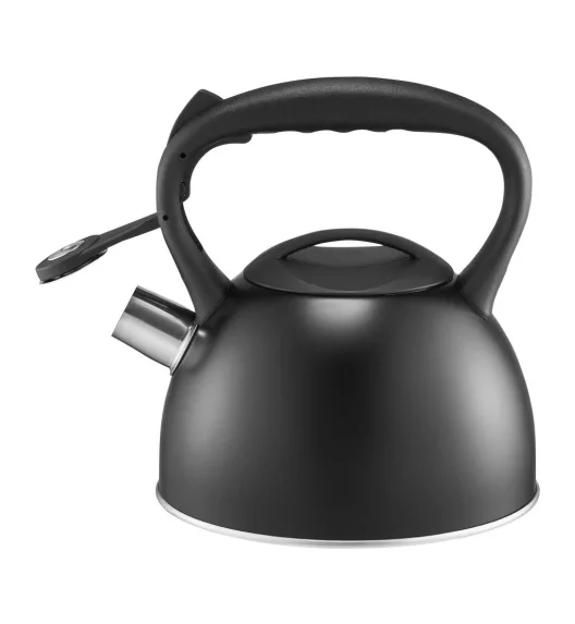 AMBITION SVEN CZAJNIK 1,75 L (2,2 L) CZARNY INDUKCJA