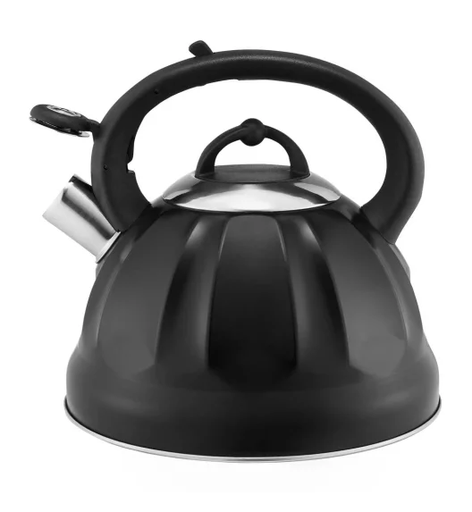 AMBITION WING CZAJNIK 2,5 L (3,0 L) CZARNY INDUKCJA