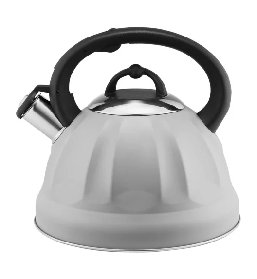 AMBITION WING CZAJNIK 2,5 L (3,0 L) SZARY INDUKCJA